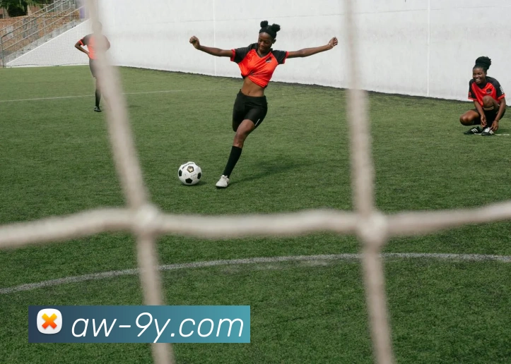 九游官网平台生态图